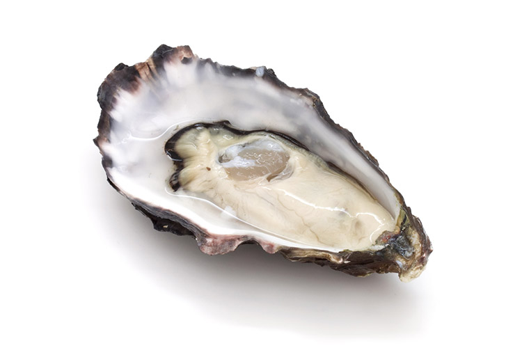 img_oyster